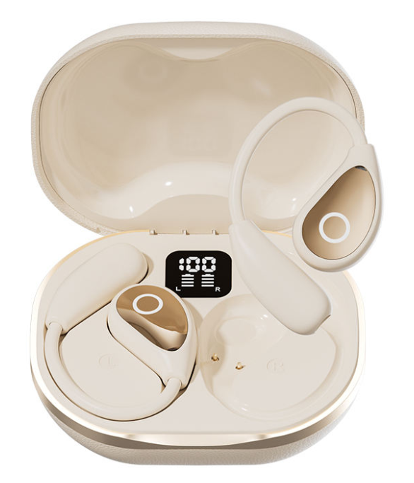 Digital Display Noise Cancelling Wireless Earbuds