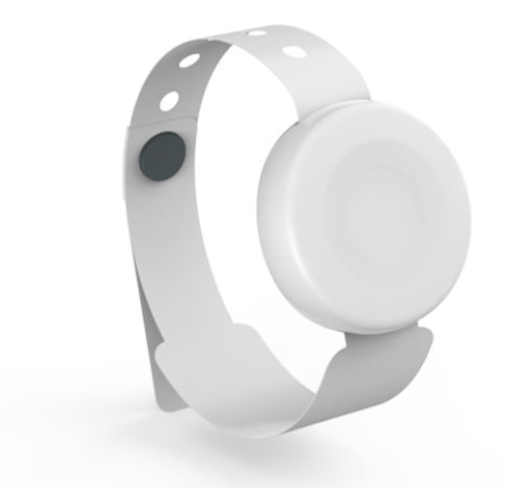 Alarm Wristband